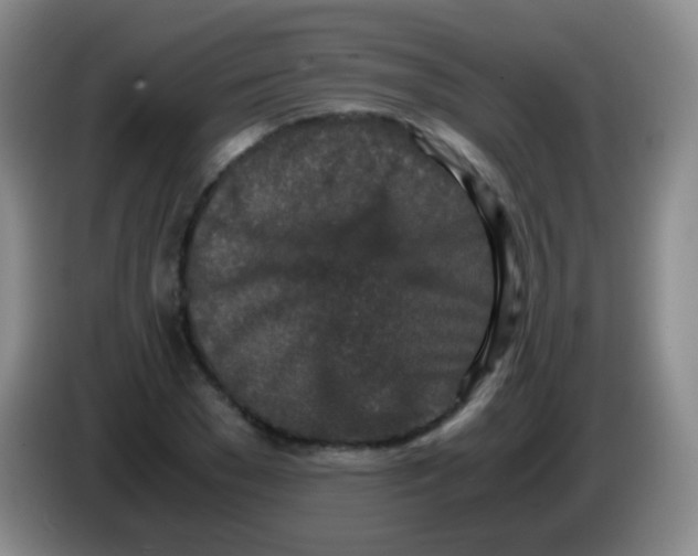 X0000084000977200703091902