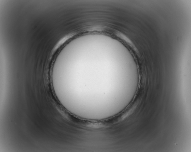 X0000084000978200703091902