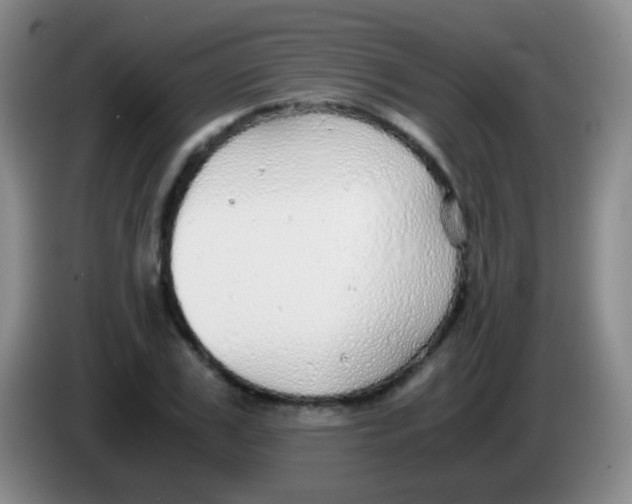X0000084000979200703091902