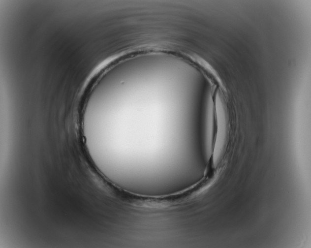 X0000084000981200703091902