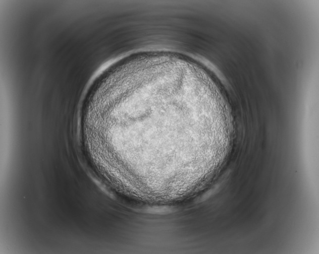 X0000084000982200703091902