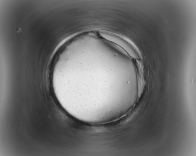 X0000084000983200703091902