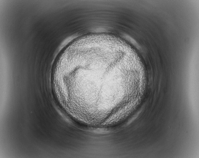 X0000084000986200703091902