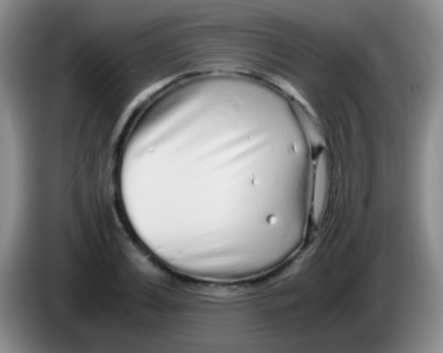 X0000084000987200703091902