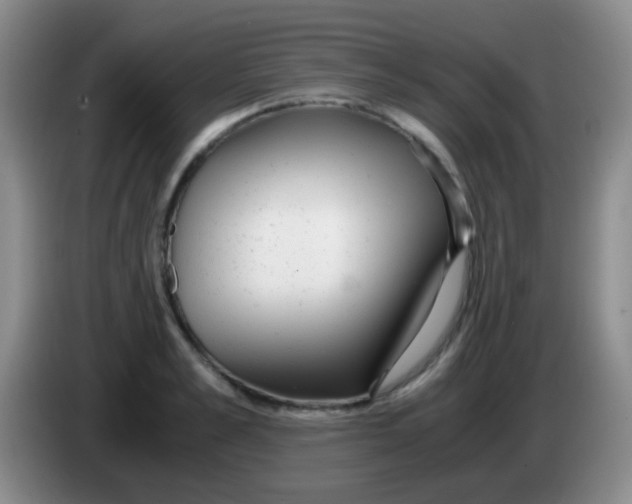 X0000084000989200703091902