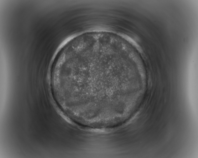 X0000084000990200703091902