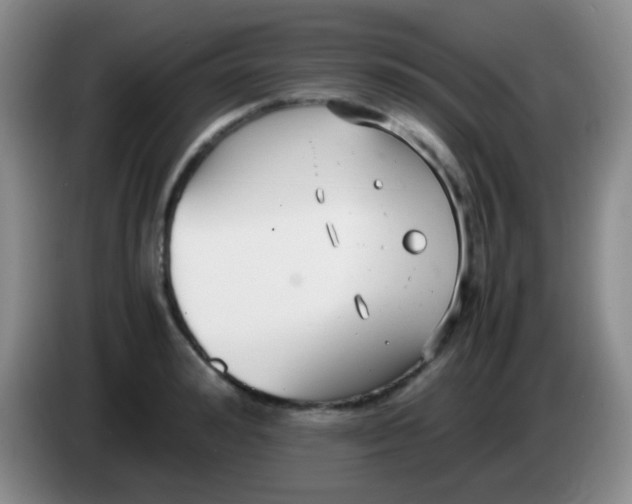 X0000084000992200703091902