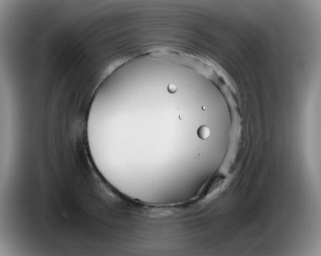 X0000084000993200703091902