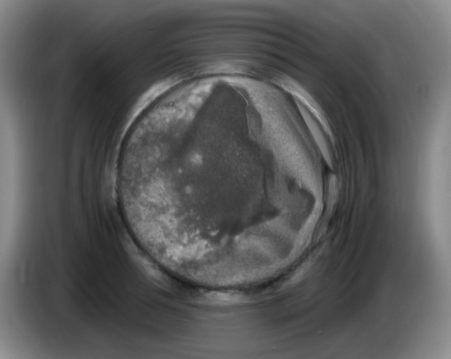 X0000084000994200703091902