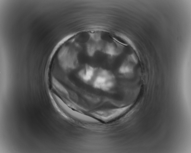 X0000084000995200703091902
