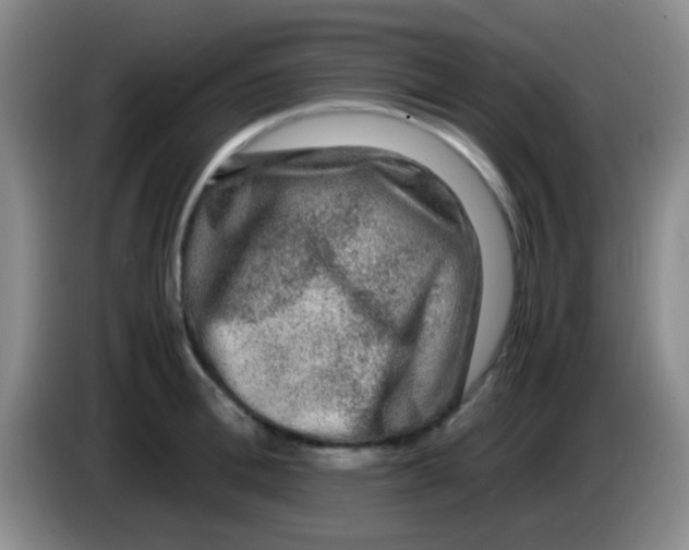 X0000084000996200703091902