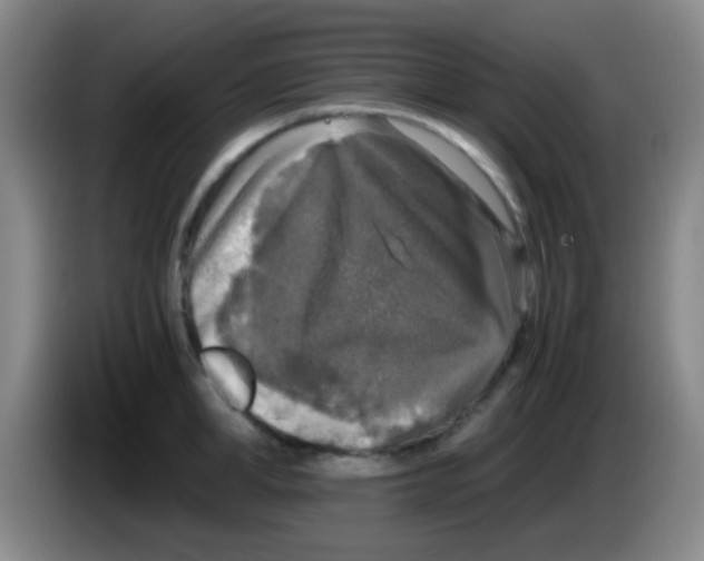 X0000084000998200703091902