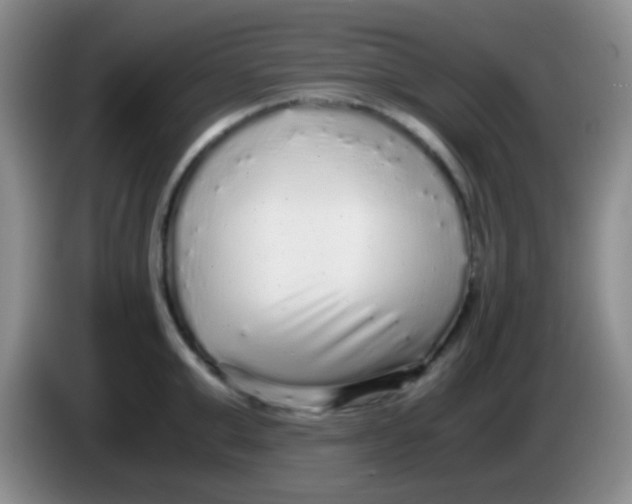 X0000084000999200703091902