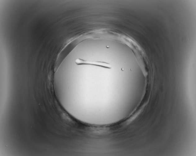 X0000084001001200703091902