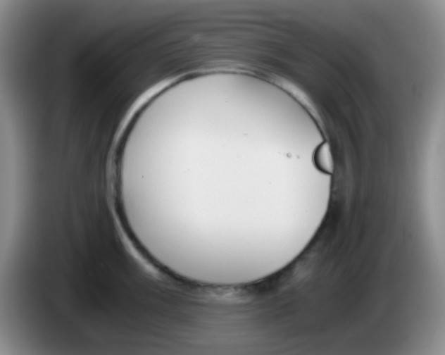 X0000084001003200703091902