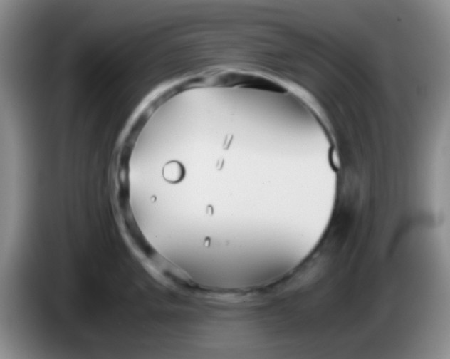 X0000084001005200703091902