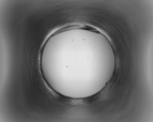 X0000084001006200703091902