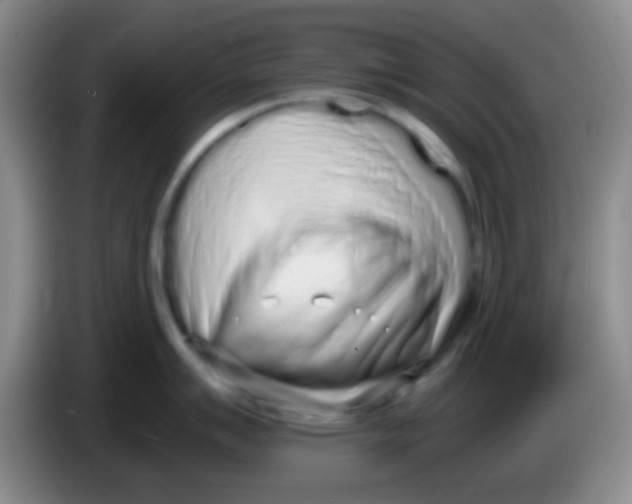 X0000084001007200703091902