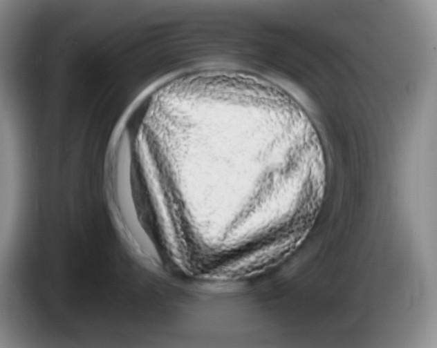 X0000084001008200703091902