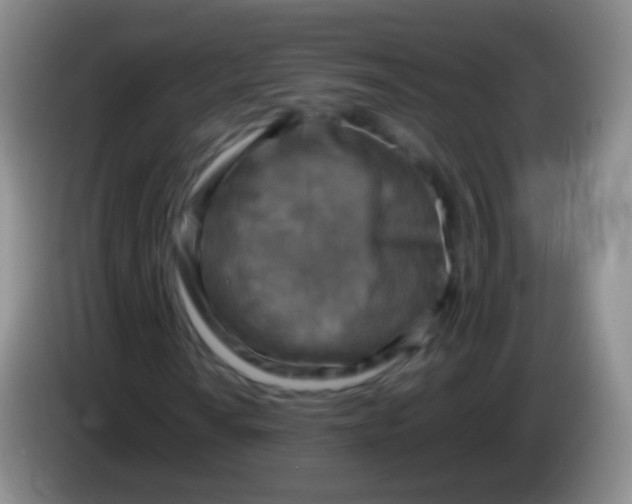 X0000084001010200703091901