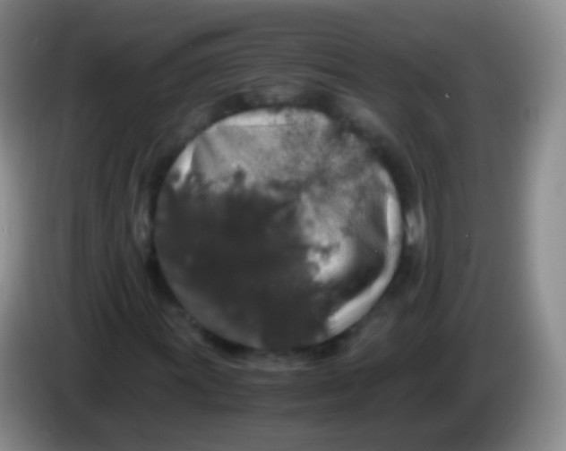 X0000084001011200703091901