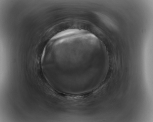 X0000084001013200703091901