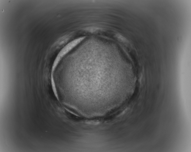 X0000084001014200703091901
