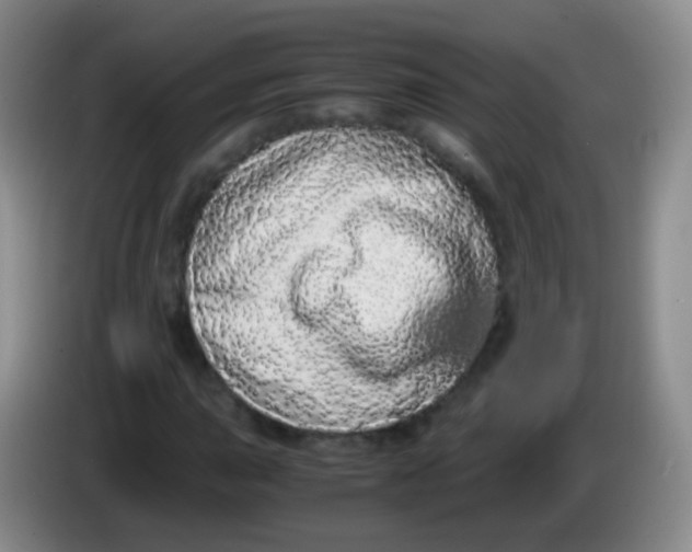 X0000084001015200703091901
