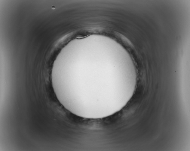 X0000084001016200703091901