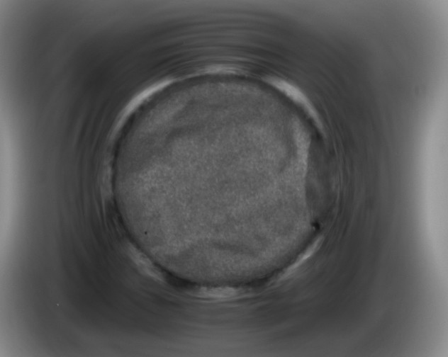 X0000084001019200703091901