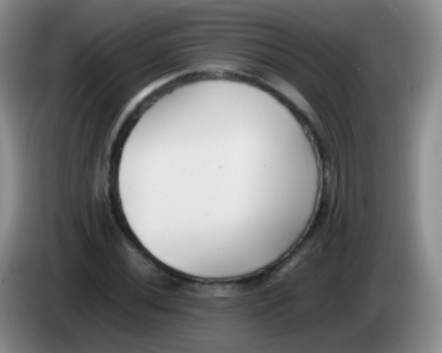 X0000084001020200703091901