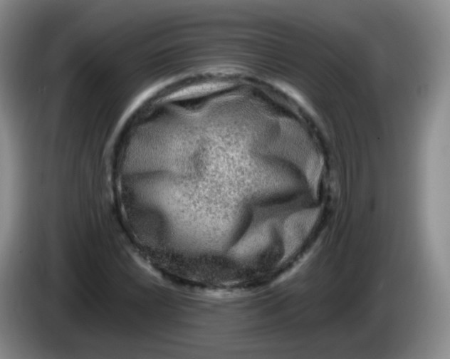 X0000084001022200703091901