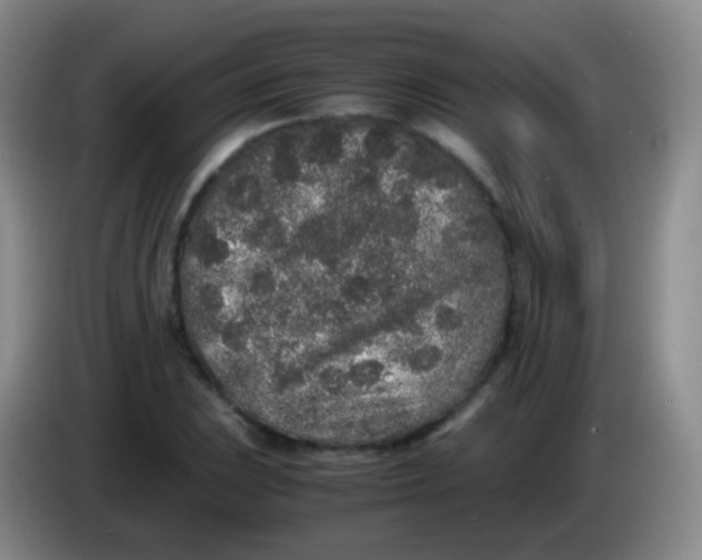 X0000084001023200703091901