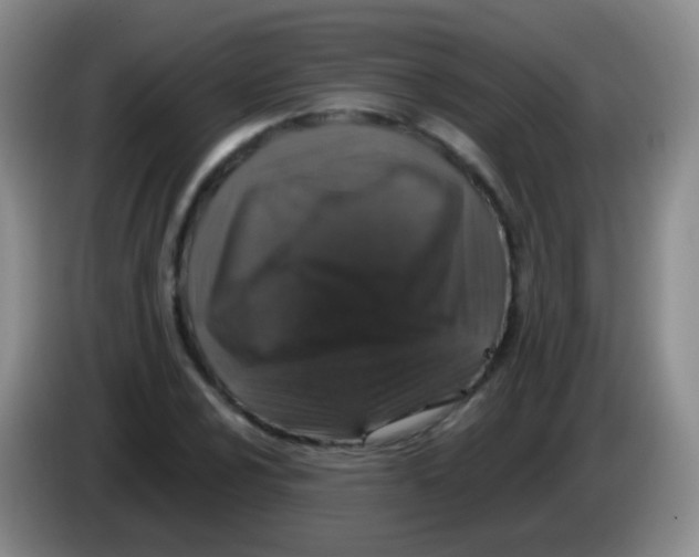 X0000084001024200703091901