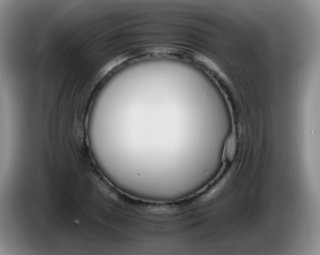 X0000084001025200703091901