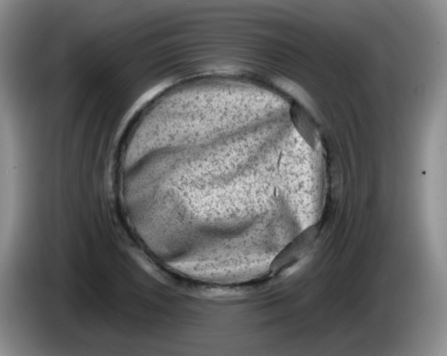 X0000084001026200703091901