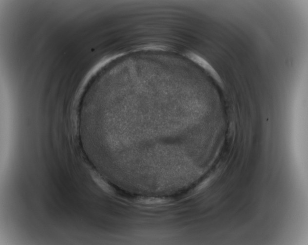X0000084001027200703091901