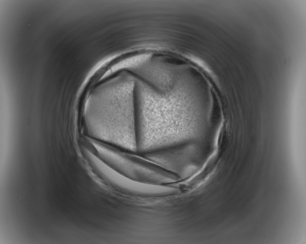 X0000084001030200703091902