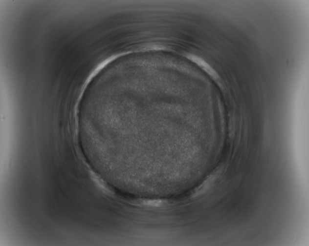 X0000084001031200703091902