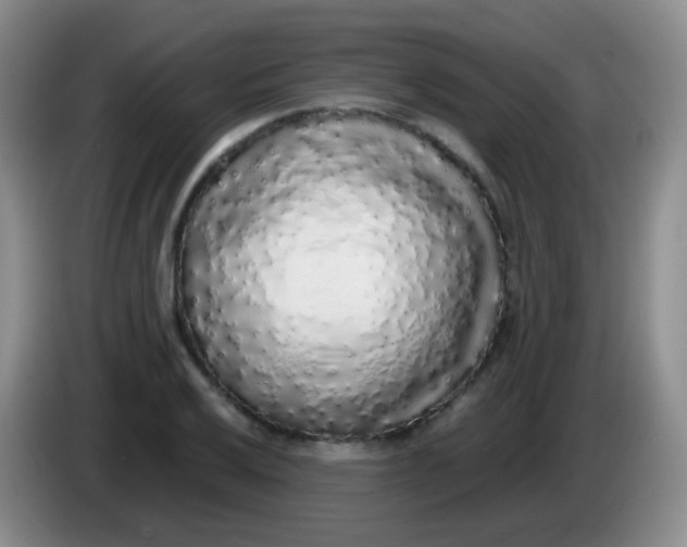 X0000084001032200703091902