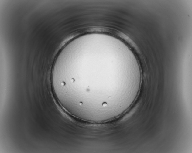 X0000084001033200703091902
