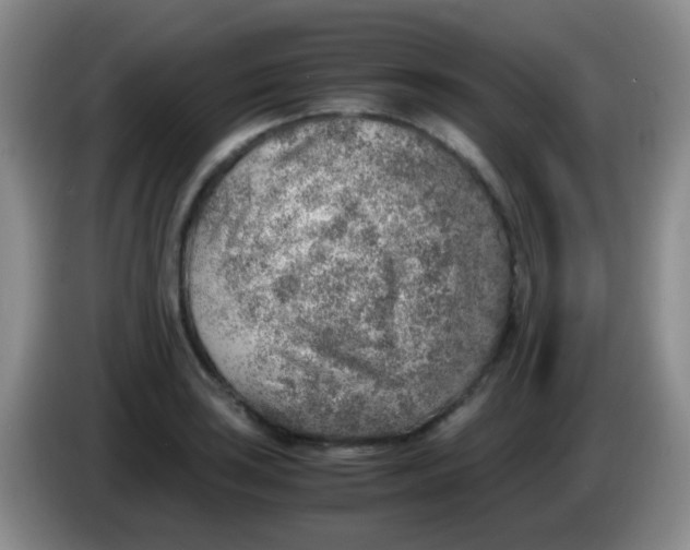 X0000084001035200703091902