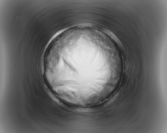 X0000084001036200703091902