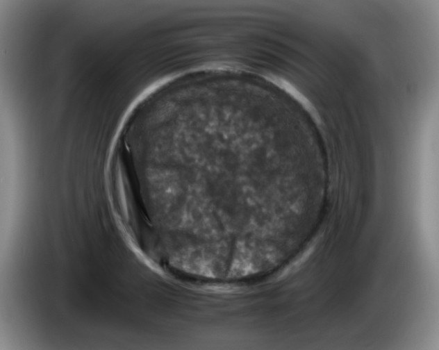 X0000084001037200703091902