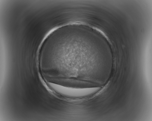 X0000084001038200703091902