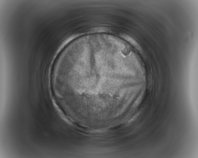 X0000084001039200703091902