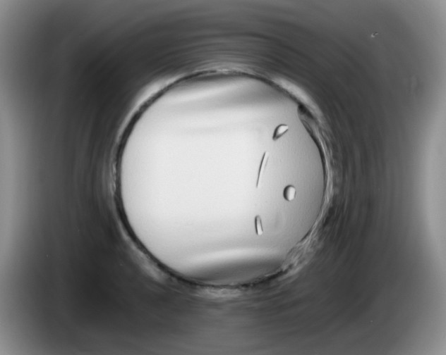 X0000084001040200703091902