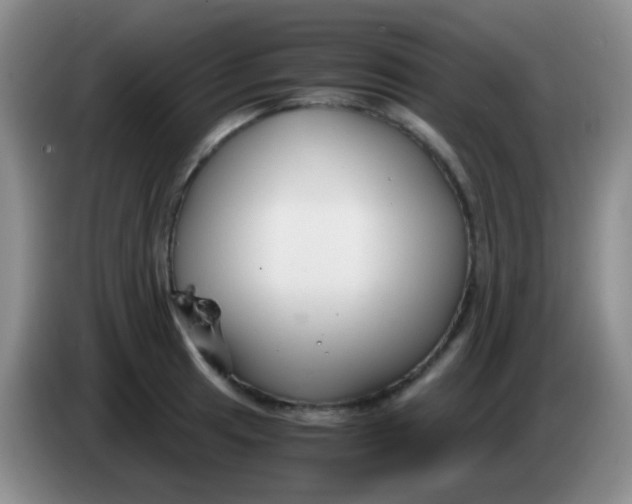 X0000084001041200703091902