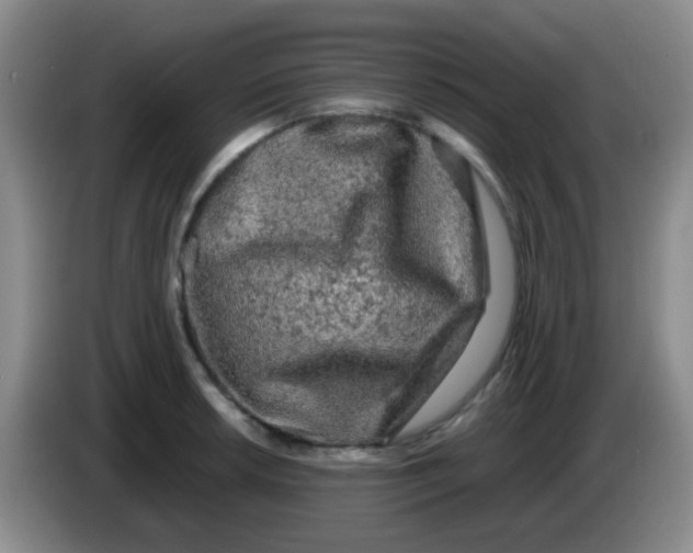 X0000084001042200703091902