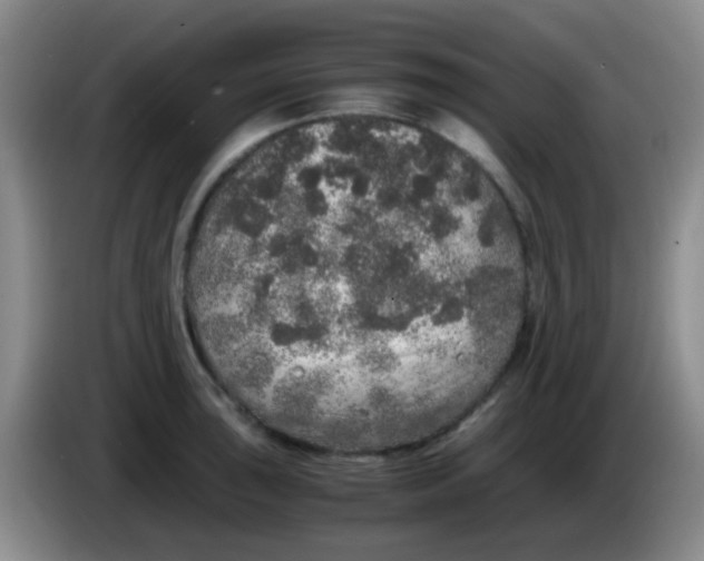 X0000084001043200703091902
